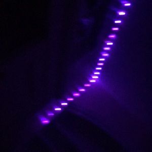 Meet your Posher, Jamila